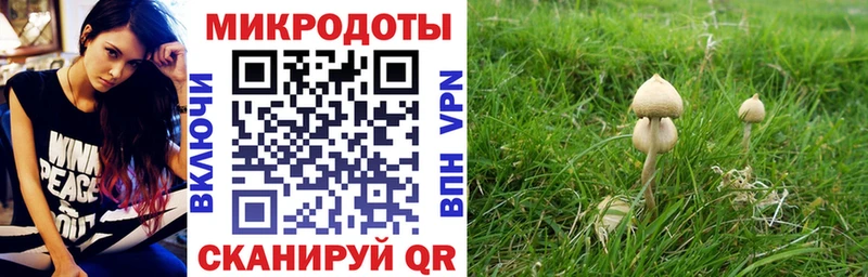 Псилоцибиновые грибы Psilocybine cubensis  MEGA как войти  Долинск 